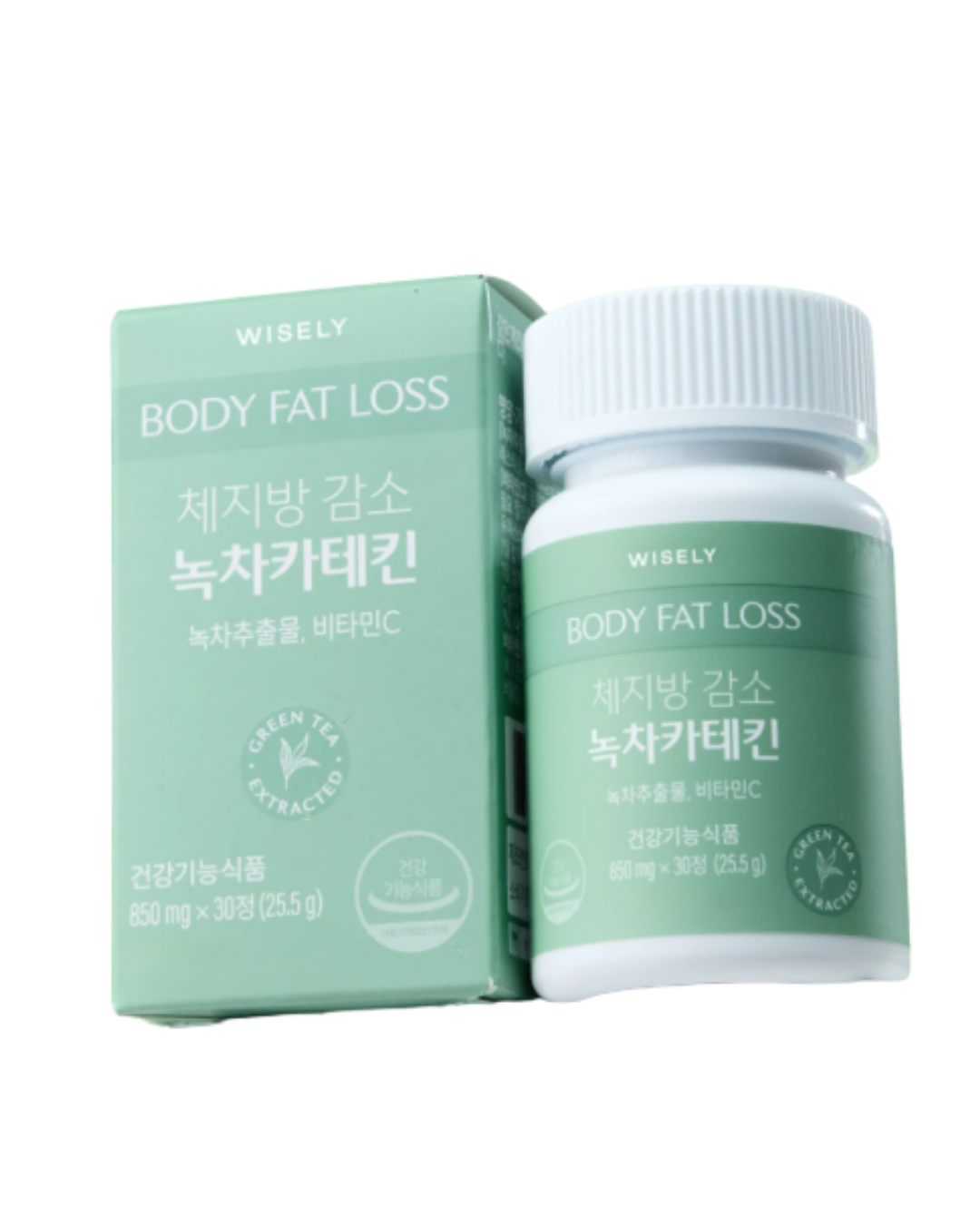 체지방 감소 녹차 카테킨